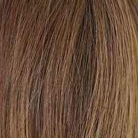 Dark Brown / Highlights