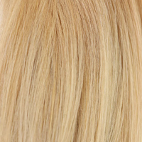 Rooted Warm Blonde/ Light Blonde Highlights